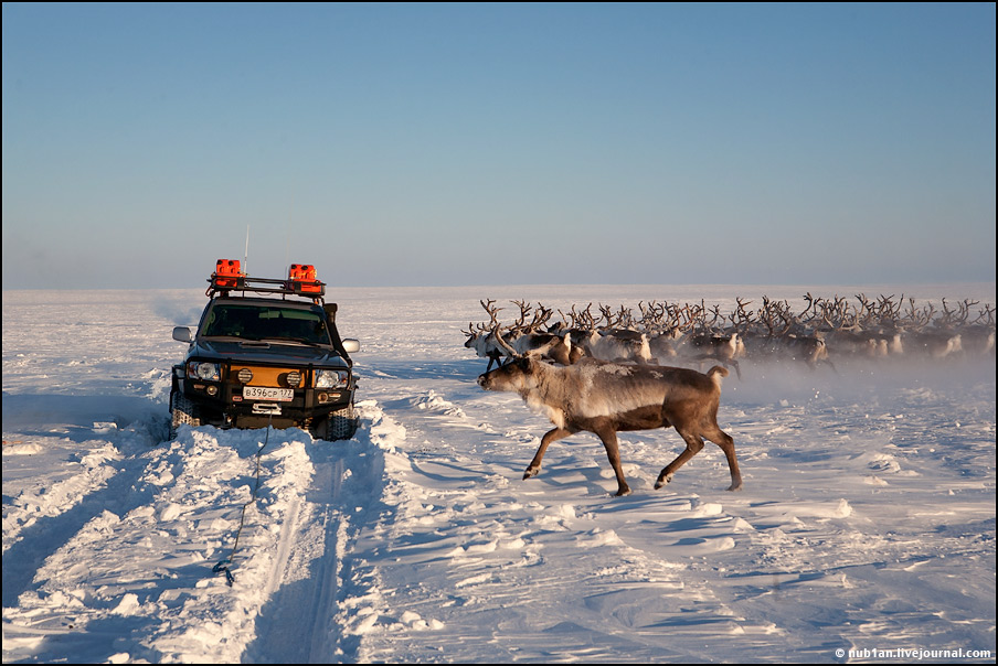Winter Driving: Skills for Drivers from Northern and Southern Regions