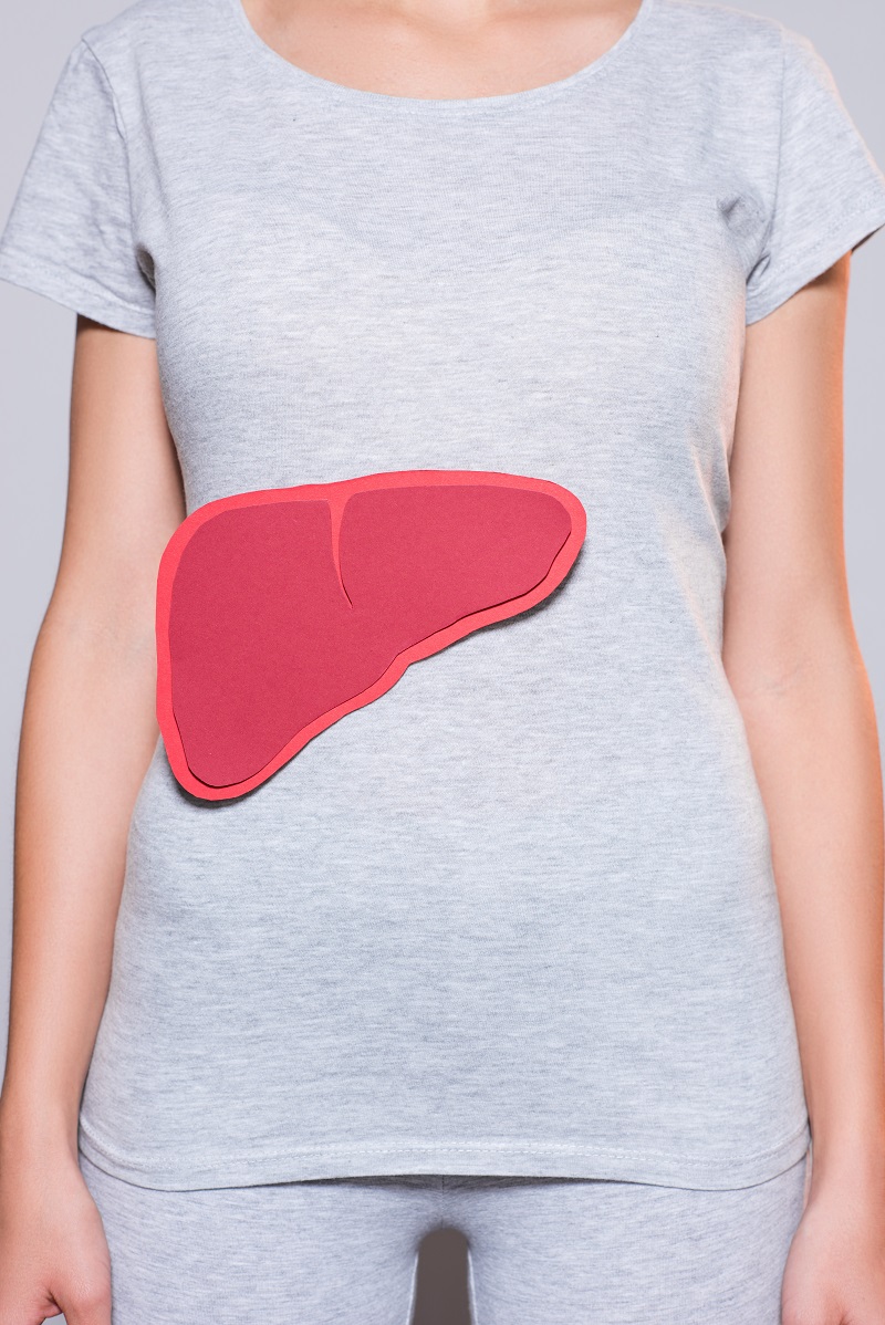 Partial view of woman holding paper made from human liver on grey background