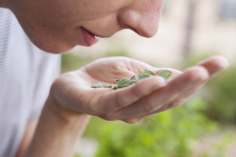 Close-up of a woman smelling fresh herbs