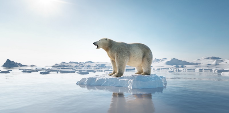 A polar bear on an ice floe. A melting iceberg and global warming.