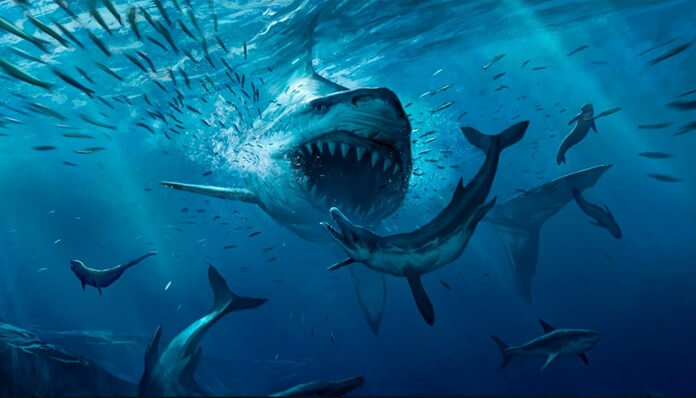 Megalodon