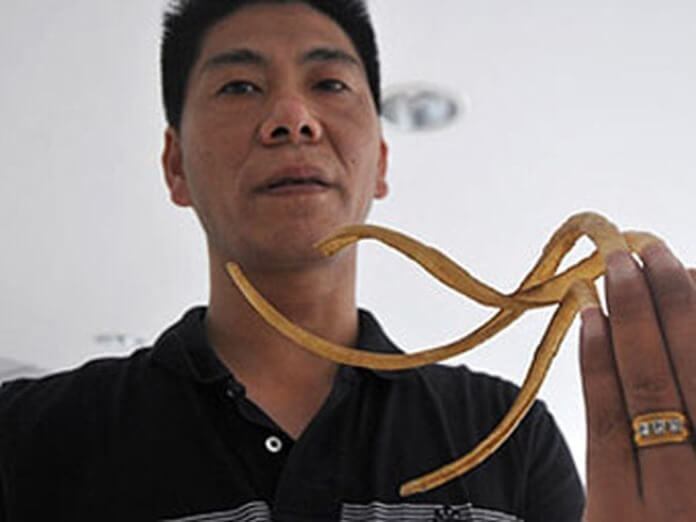 Wen Zhang