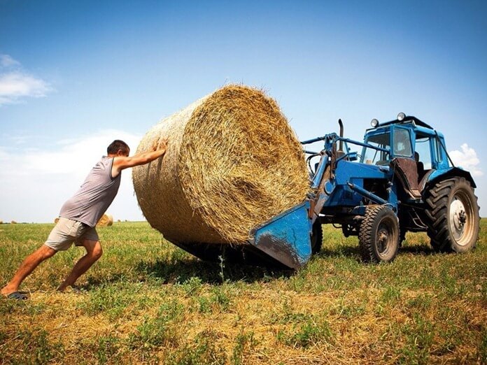 Agricultural workers