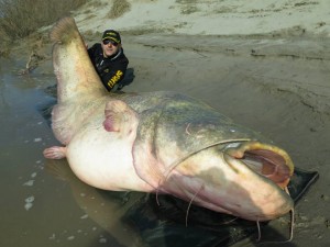 Bizarre Animals That Can Give You Nightmares