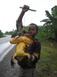 Bizarre Animals That Can Give You Nightmares