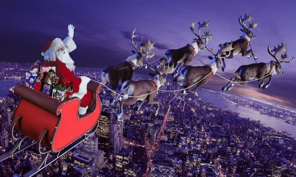 facts about reindeer