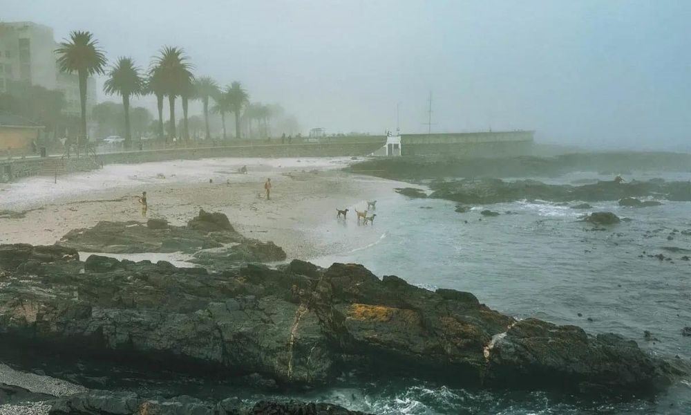 About Cape Town