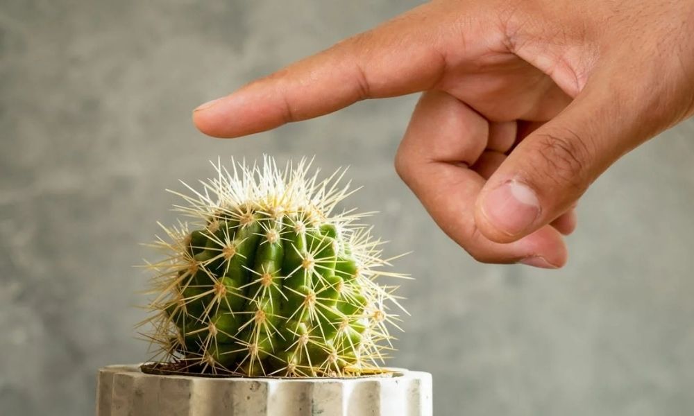 Why do people like unpleasant smells?