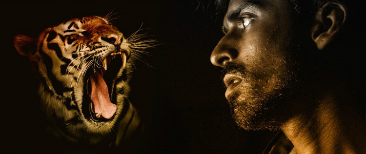 Tigers killed people Tigers killed humans
