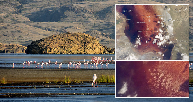 Lake Natron
